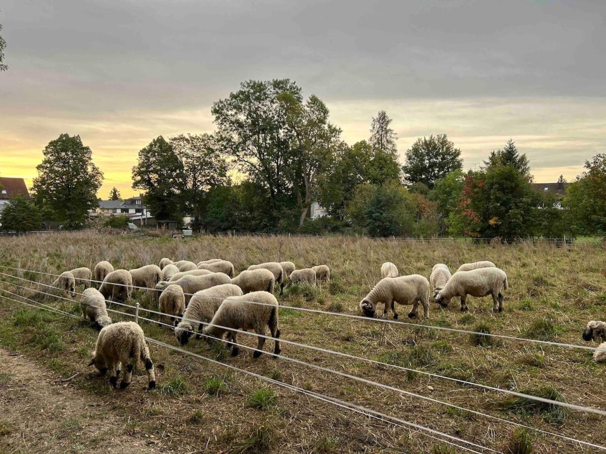 Overnight In A Shepherd's Wagon Tiny House Munich
